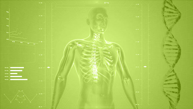 Spine Health & Identifying Disc Injuries